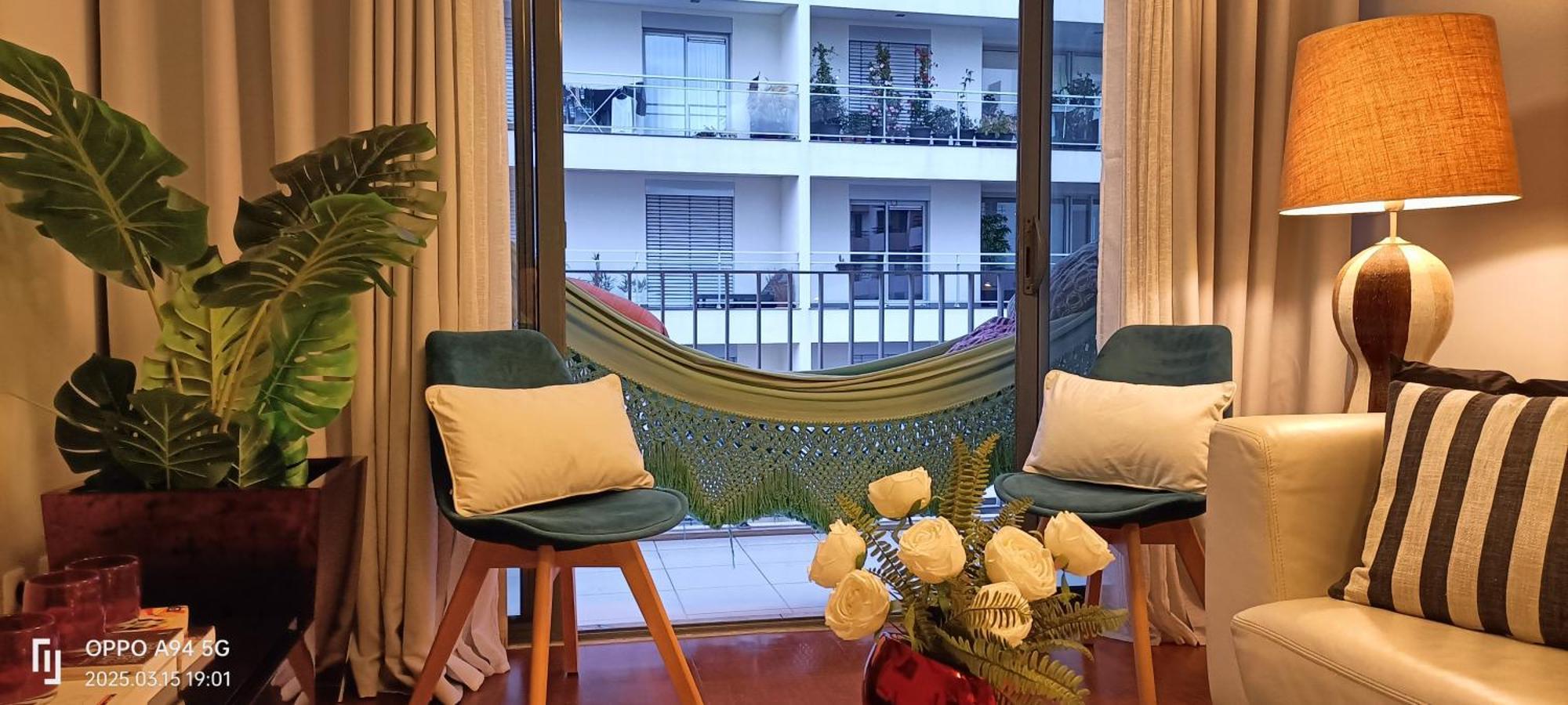 Suite Palms 丰沙尔 外观 照片